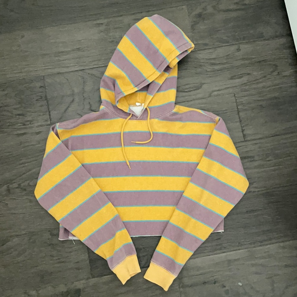 Urban Outfitters Cropped Hoodie